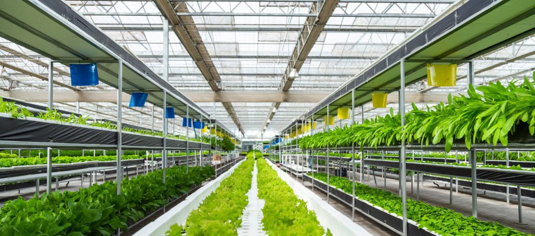 利安隆农业材料抗老化技术